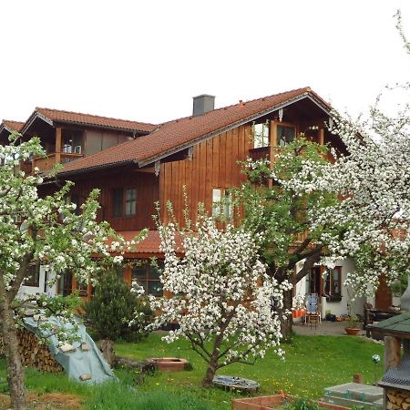 Ferienwohnung Wingen 巴特法伊尔恩巴赫 外观 照片