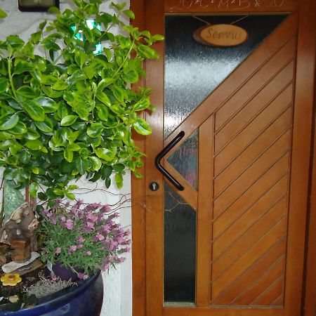 Ferienwohnung Wingen 巴特法伊尔恩巴赫 客房 照片
