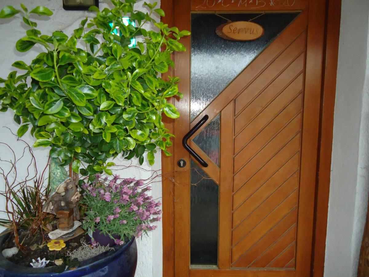 Ferienwohnung Wingen 巴特法伊尔恩巴赫 客房 照片